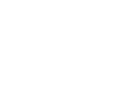 microsoft dynamics