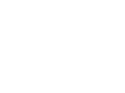 software